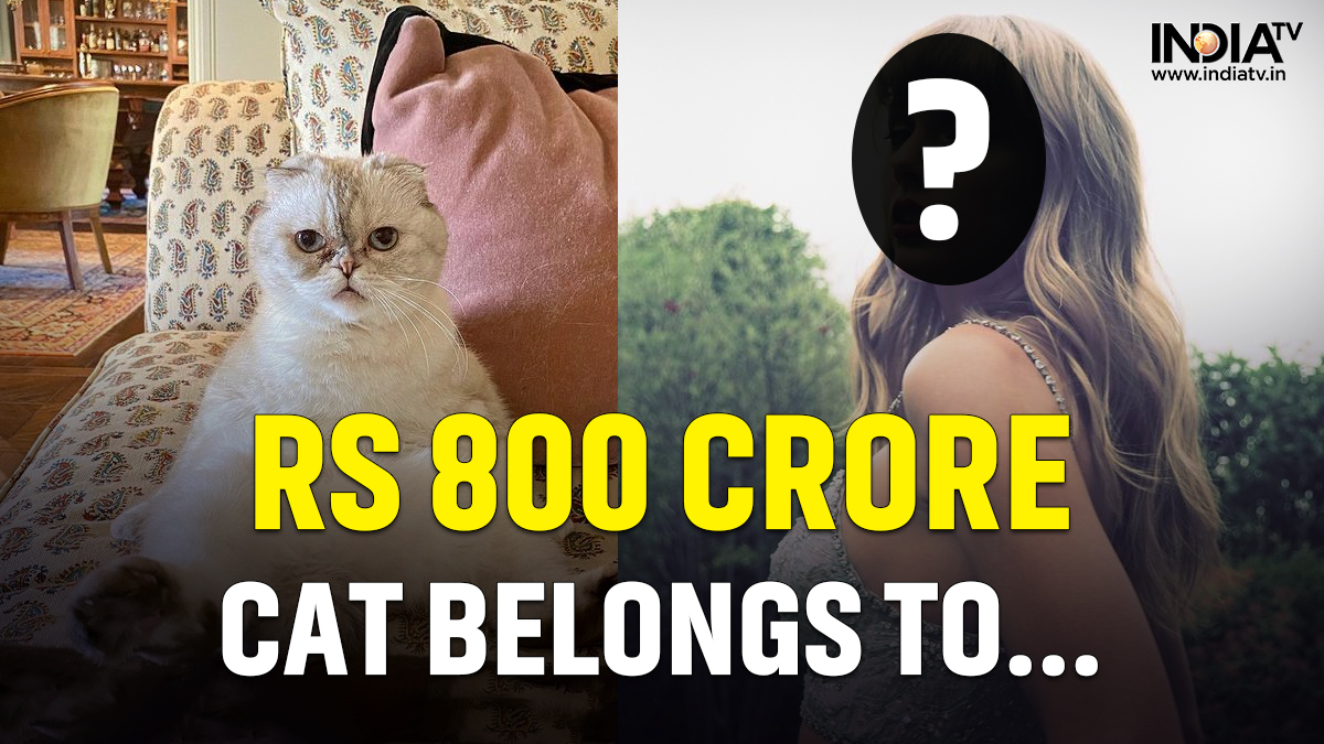 Cat worth Rs 800 cr? THIS popstar owns the 3rd richest pet in the