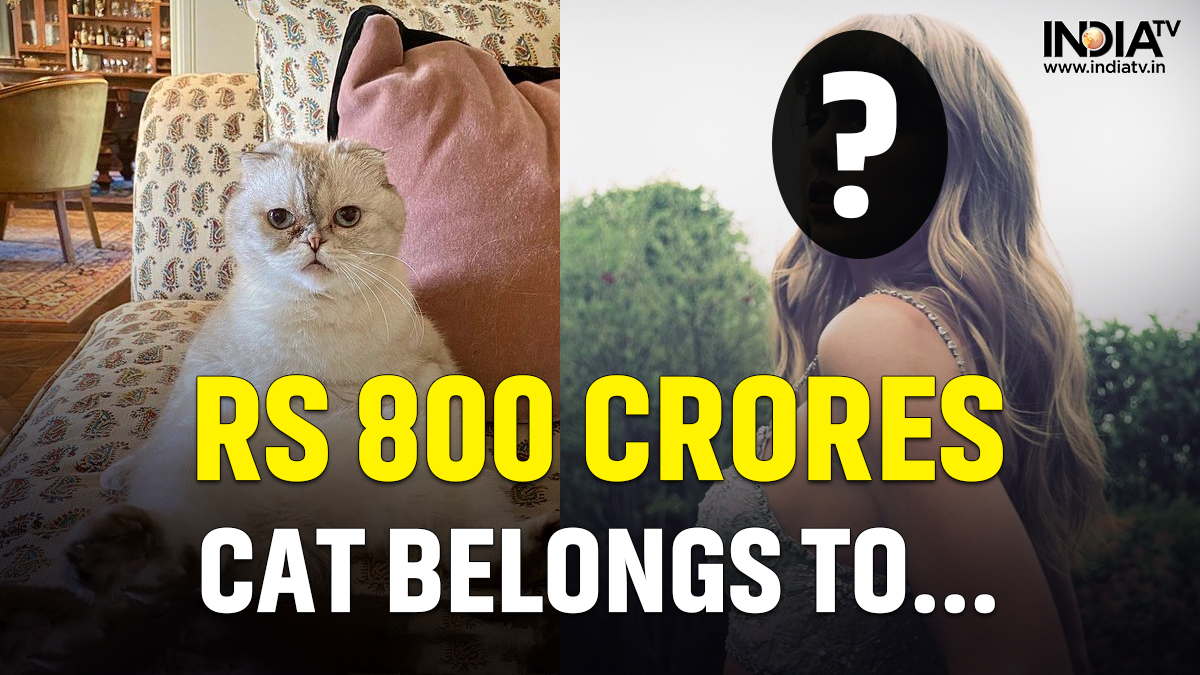 Cat worth Rs 800 cr? THIS pop-star owns the 3rd richest pet in the world