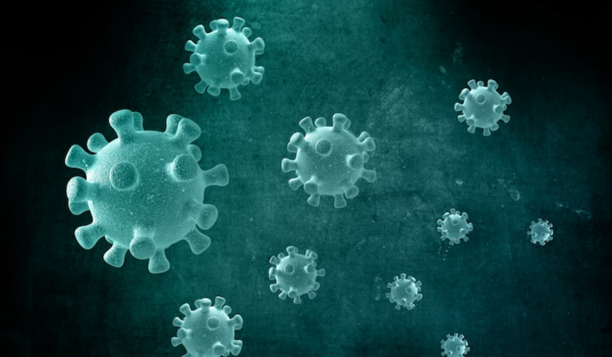 China menjawab AS tentang teori kebocoran lab COVID: ‘Selalu terbuka dan transparan dalam pelacakan virus’