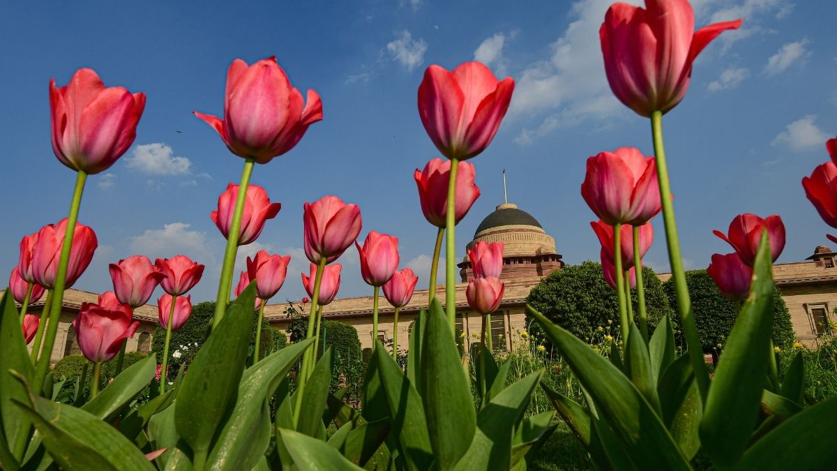 Mughal Garden Opening Date 2023 Check Ticket Booking Online Process   Mughal Garden 1672992042 