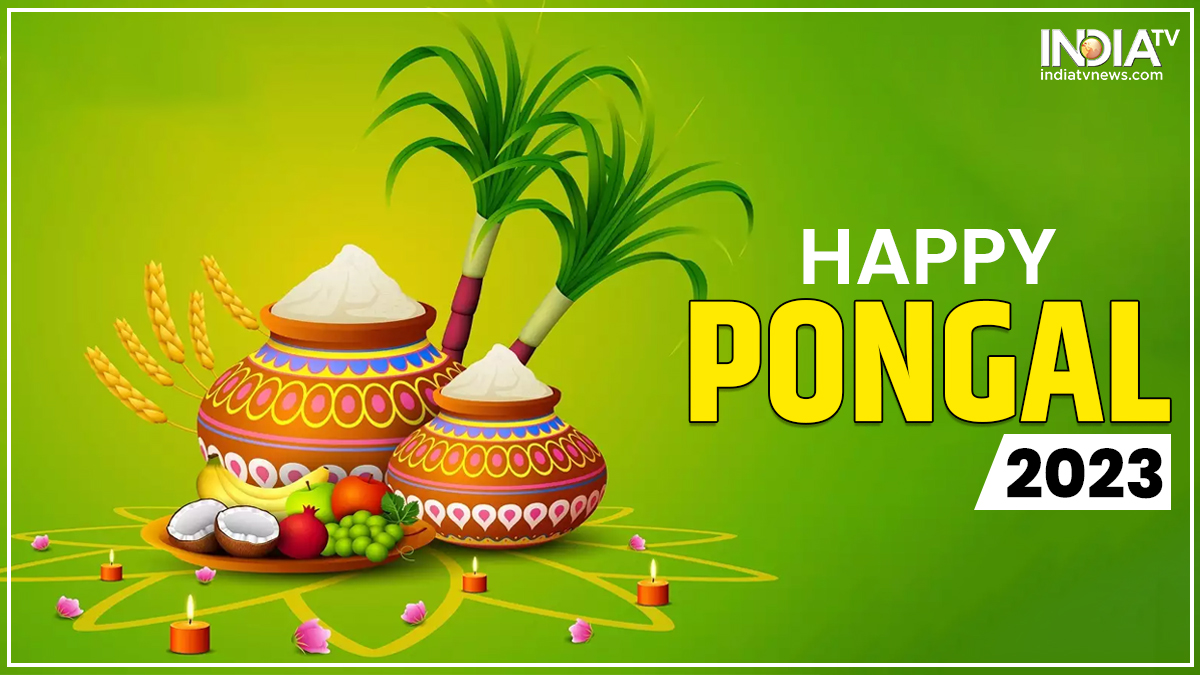 Pongal 2023: Know the history, significance of the four-day ...