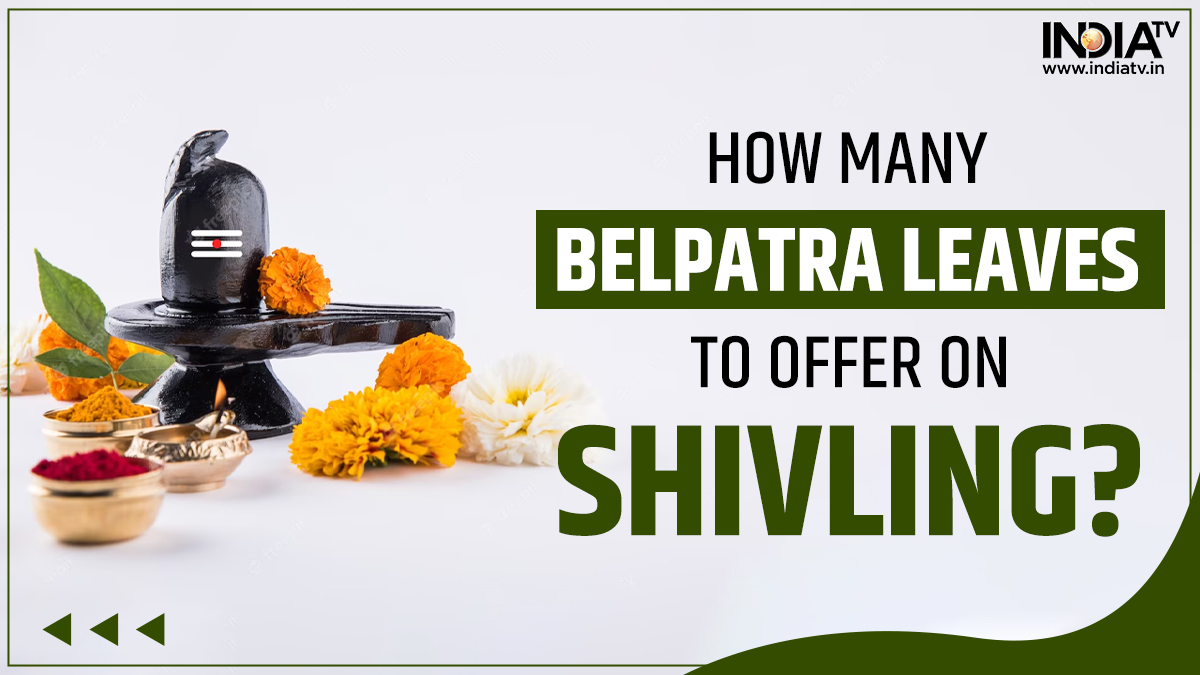 maha-shivratri-2023-how-many-belpatra-leaves-should-be-offered-on