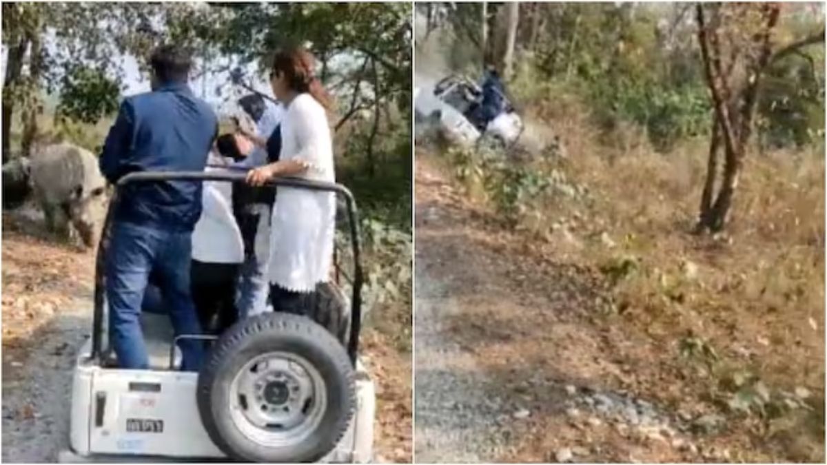 Viral Video: Jeep topples over as rhino attacks tourists on wildlife safari. Watch