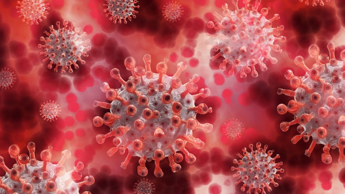 Coronavirus Alert! India logs 1,805 new Covid-19 cases, active tally at 10,300