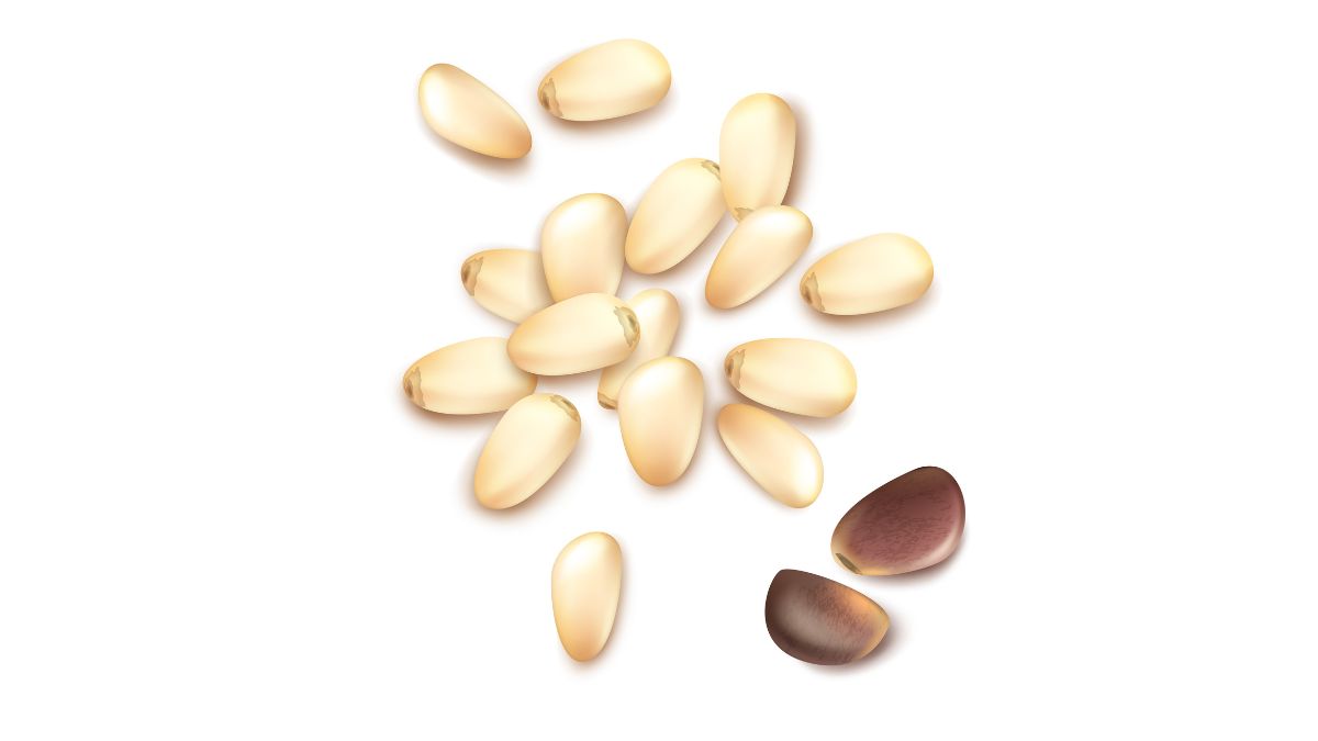 Pine Nut Power: How chilgoza boosts your mind and body