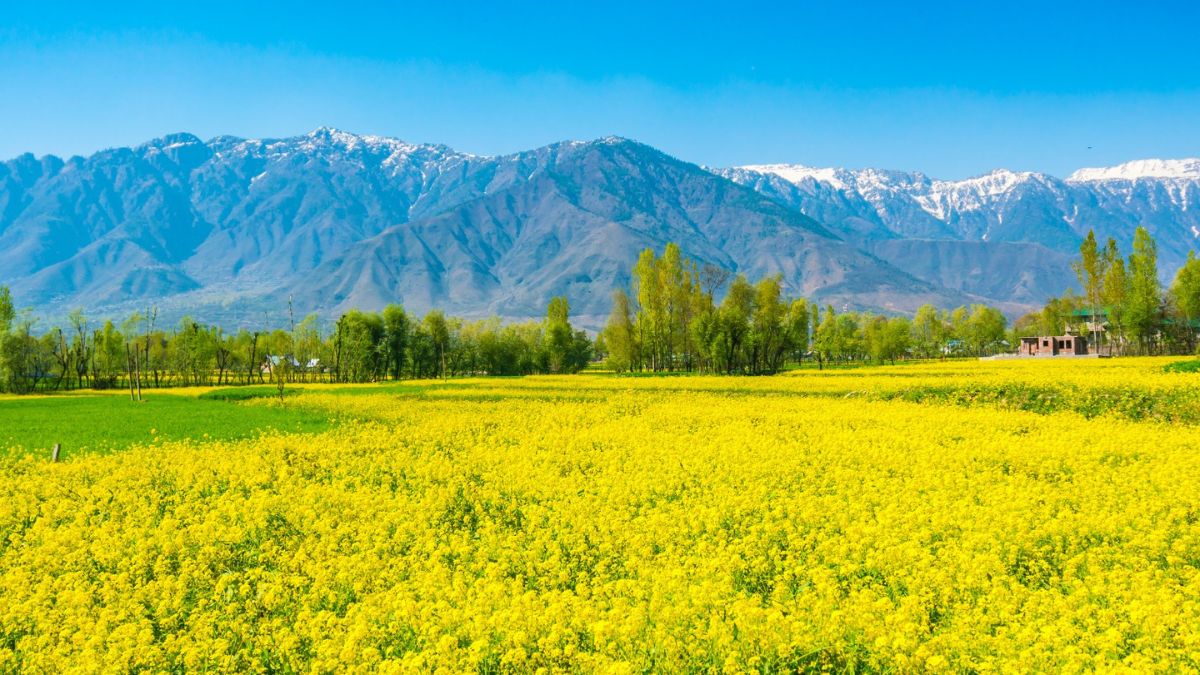 Pretty places that experience snowfall in spring

