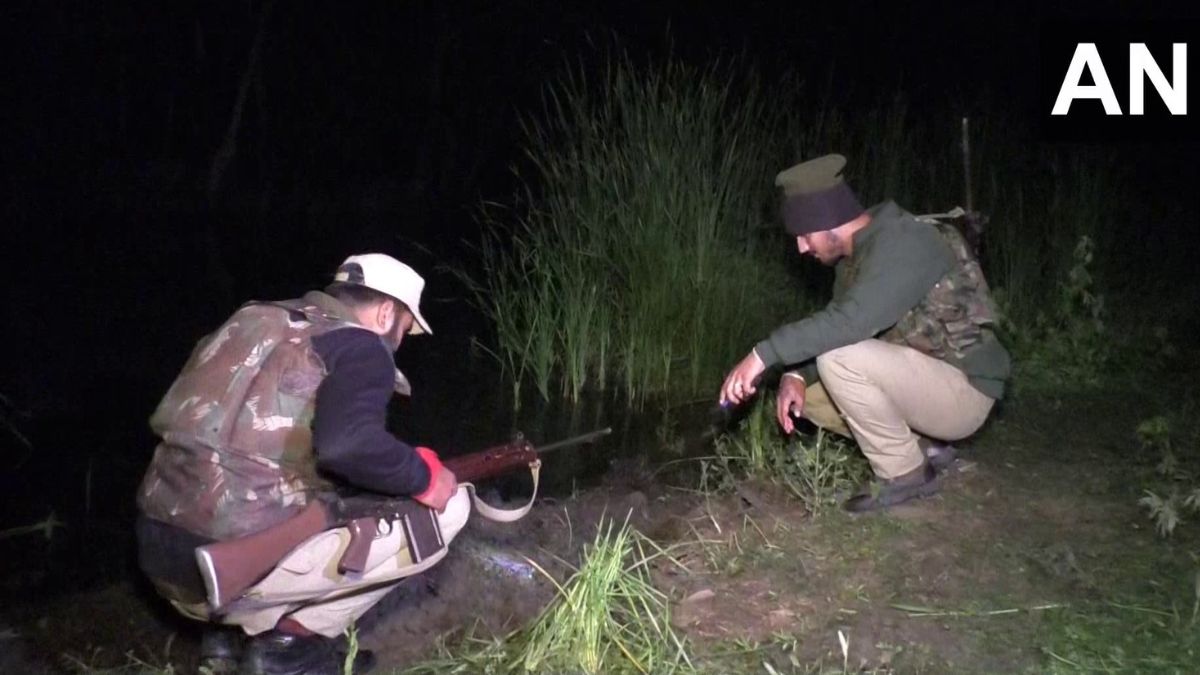 J-K: High intensity blast near International Border in Kathua, live grenade seized