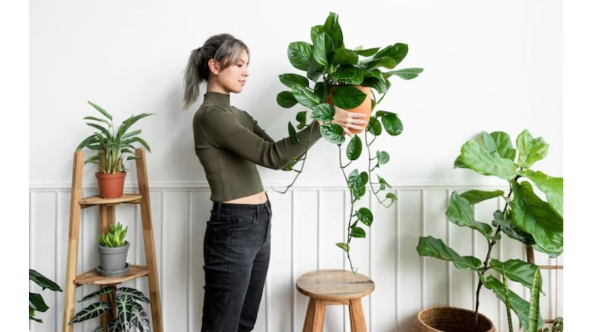 According to Vastu Shastra, these are the best plants to keep at home
