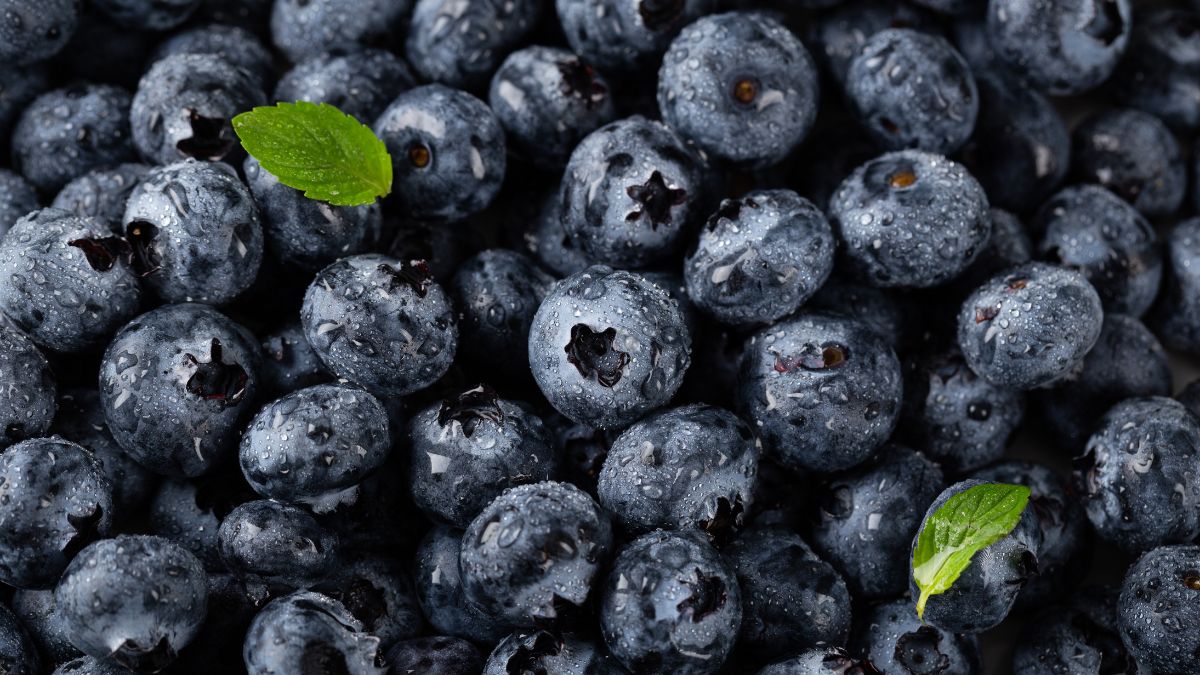 Blueberries for brain health: Here are seven benefits of this superfood