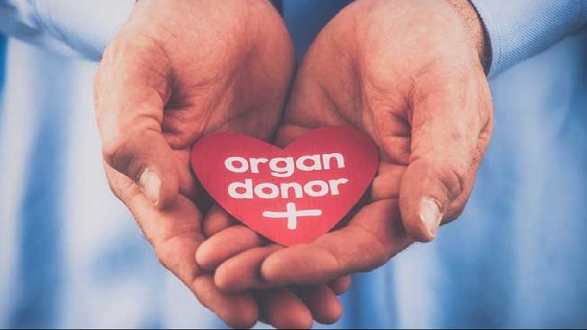 Centre to grant THESE MANY days of special casual leave to its employees for organ donation | CHECK HERE