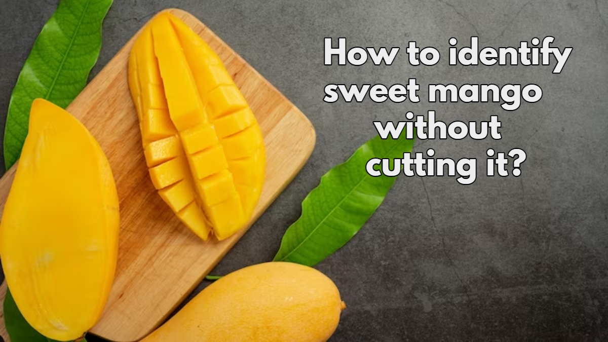 Bagaimana cara mengidentifikasi mangga manis tanpa memotongnya?  Ketahui 3 trik ini untuk menghindari mangga asam