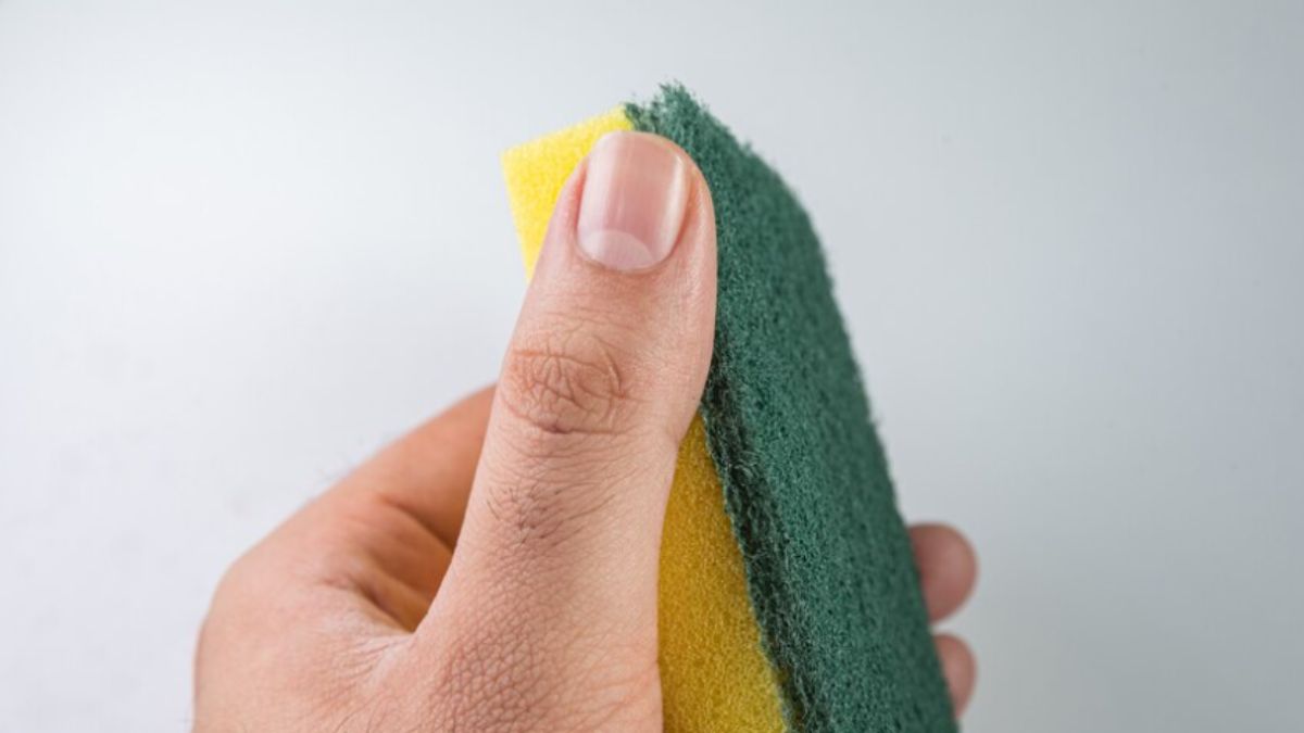 How to identify and eliminate white spots on nails India TV