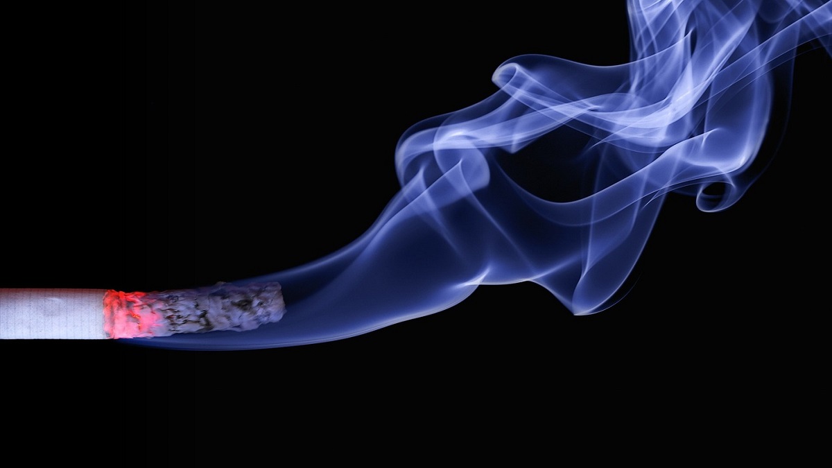 World No Tobacco Day 2023: Know which nation leads in tobacco production in Southeast Asia Region | DEETS