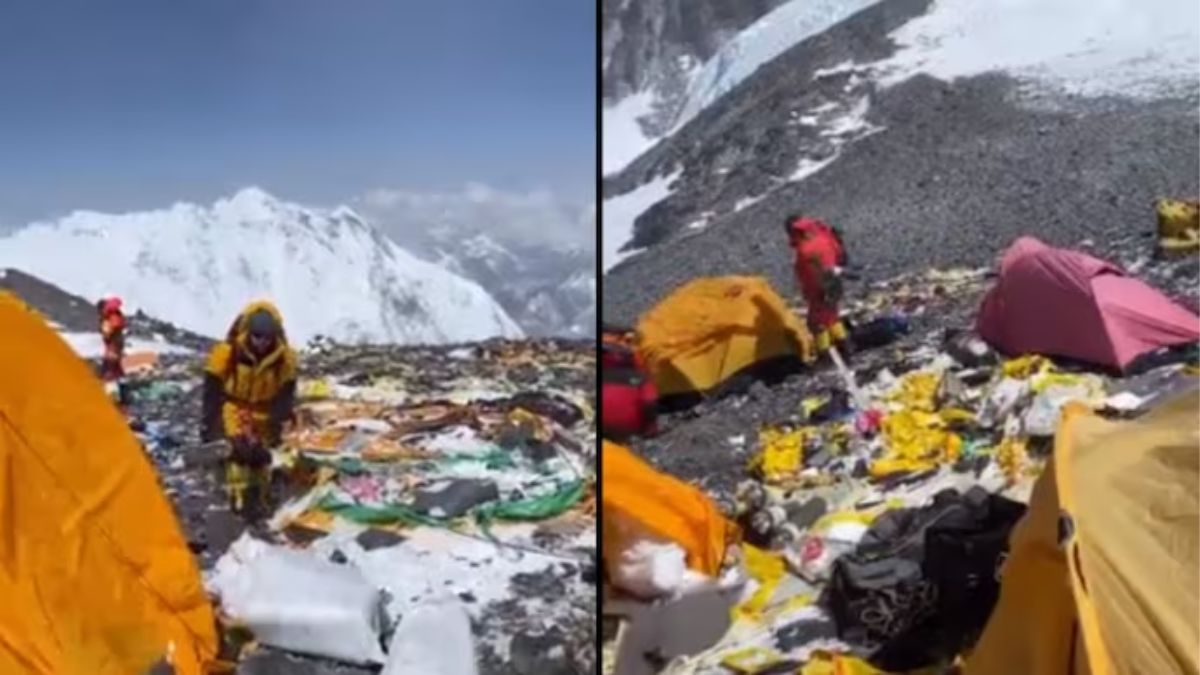 IAS officer's video reveals shocking garbage dumping on Mt Everest campsite, Internet outraged