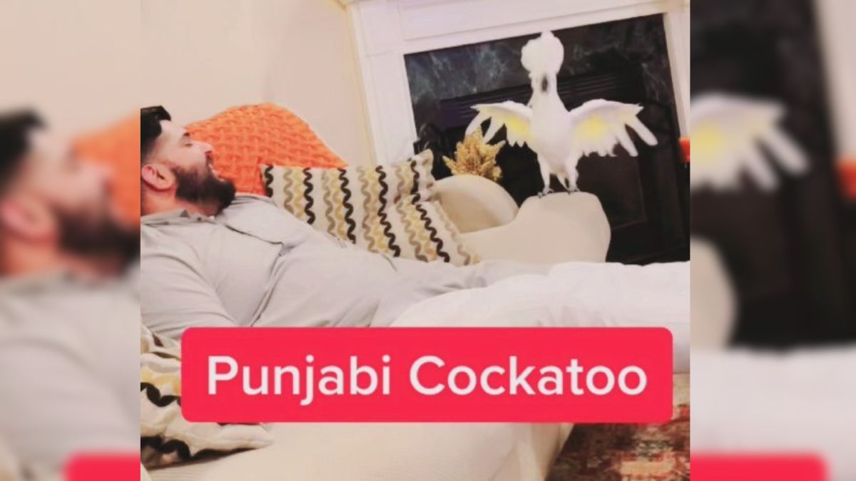 Sangdi – Inder Chahal | Full Song & Video | Punjabi Mania