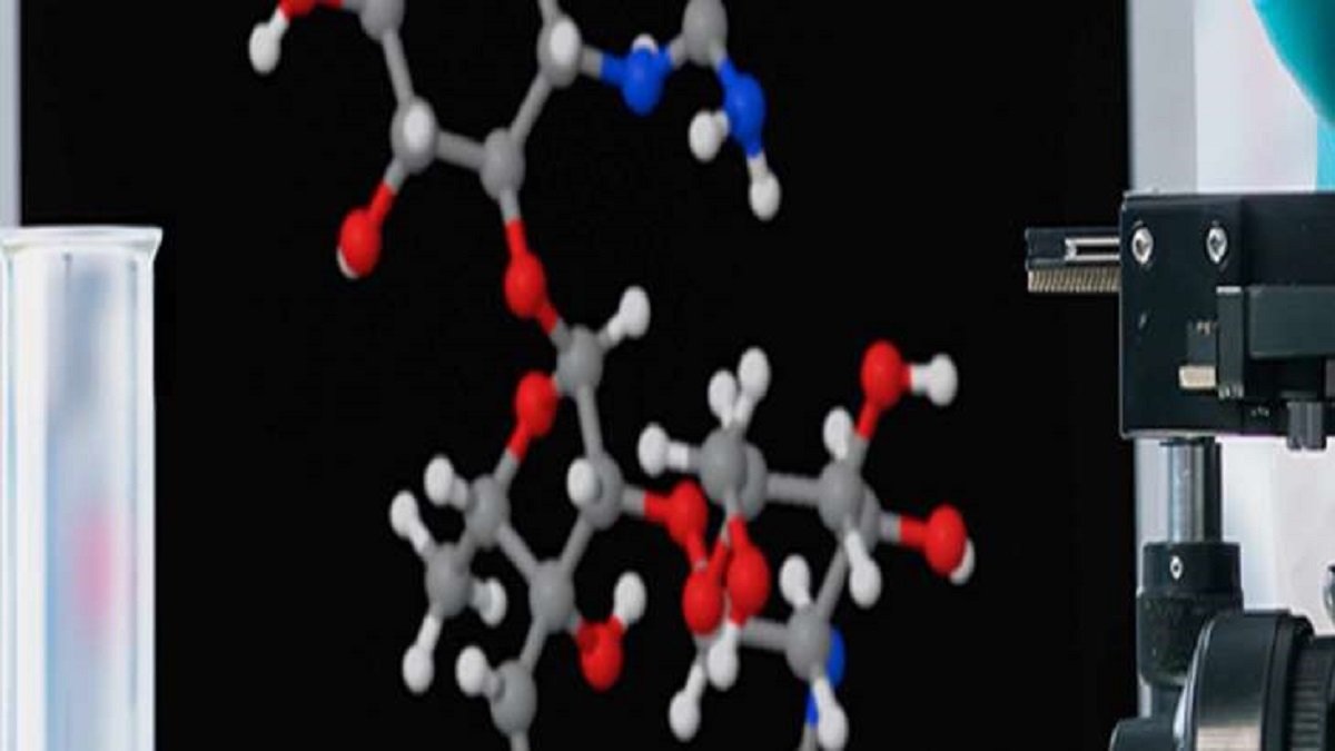 Multibagger stock: Specialty chemical company cuts debt as it aims to become debt free in FY24