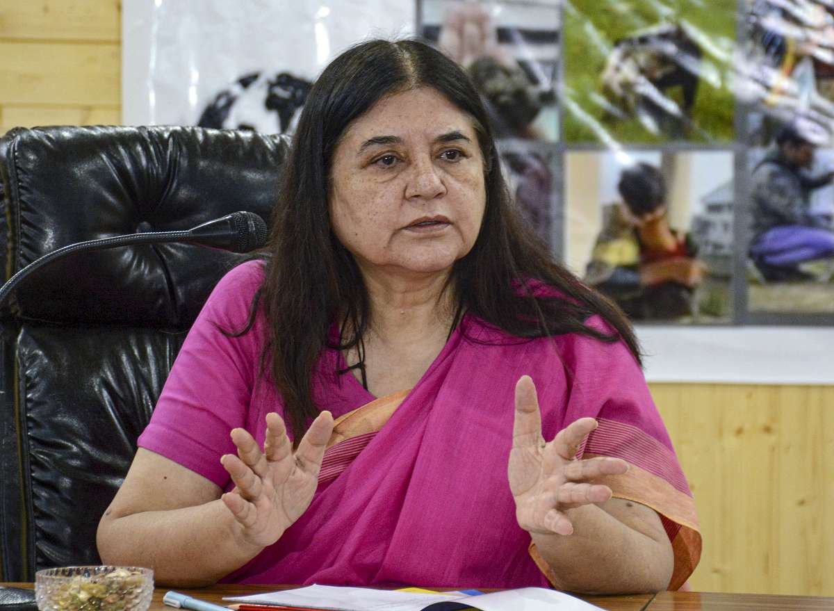 ISKCON temple authority hits back at Maneka Gandhi after BJP MP 'selling cows' charge