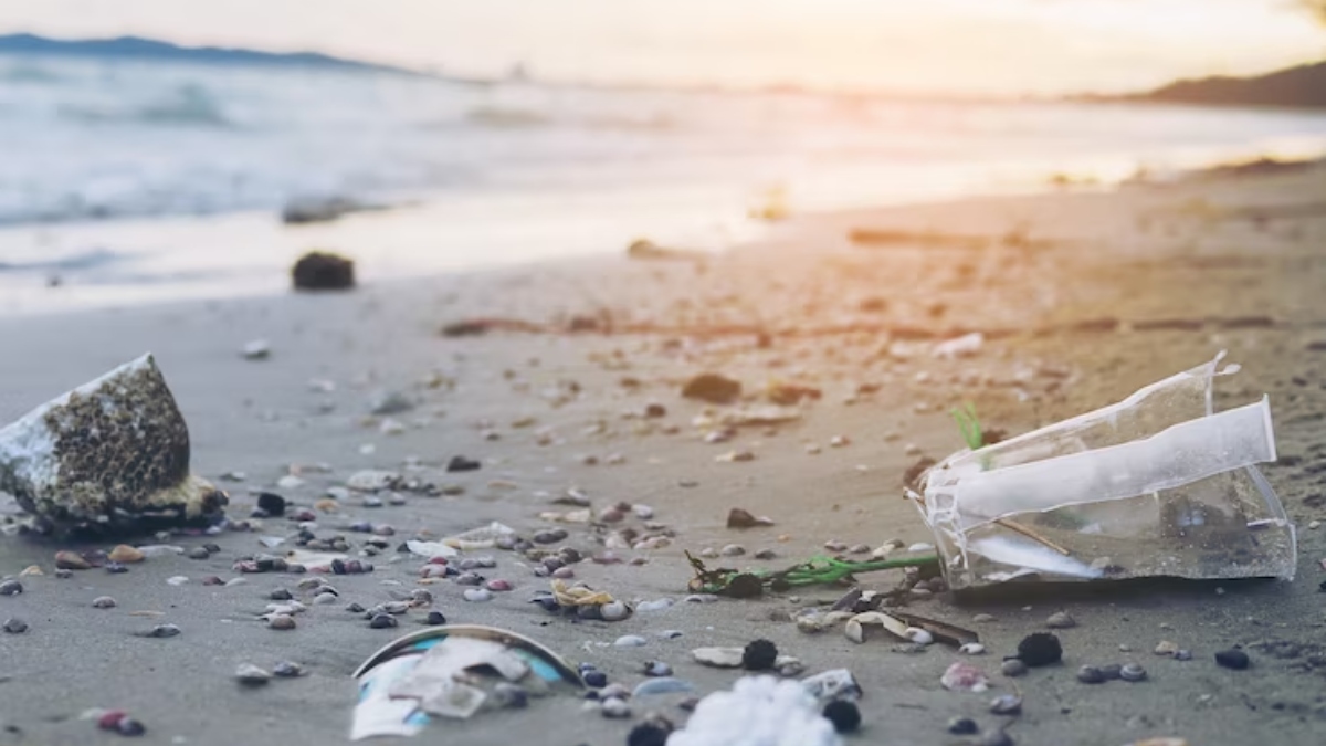 Hari Lingkungan Hidup Sedunia: Kutipan teratas tentang ‘Kalahkan Polusi Plastik’
