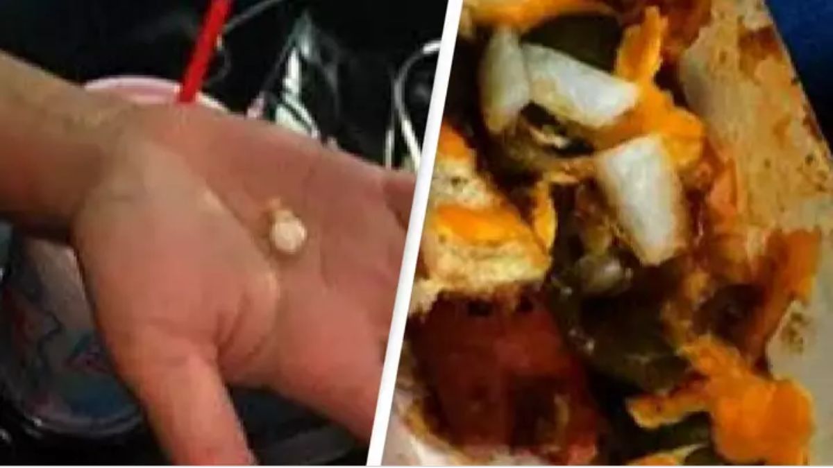 Woman finds bag of cocaine in hot dog at US restaurant, employee restaurant