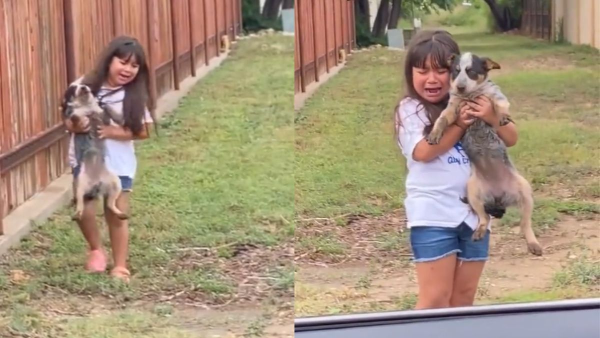 Little girl bursts into tears on finding her lost dog viral video Watch ...