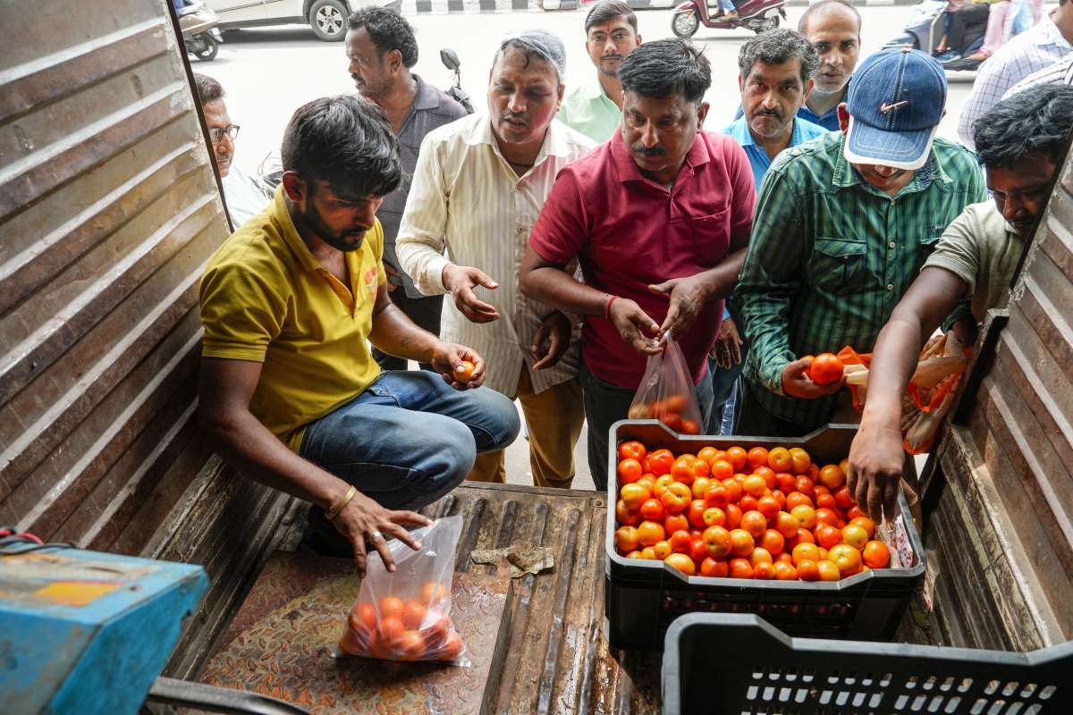 Rising Tomato Prices Surge beyond Rs 250/kg due to Rainfall
