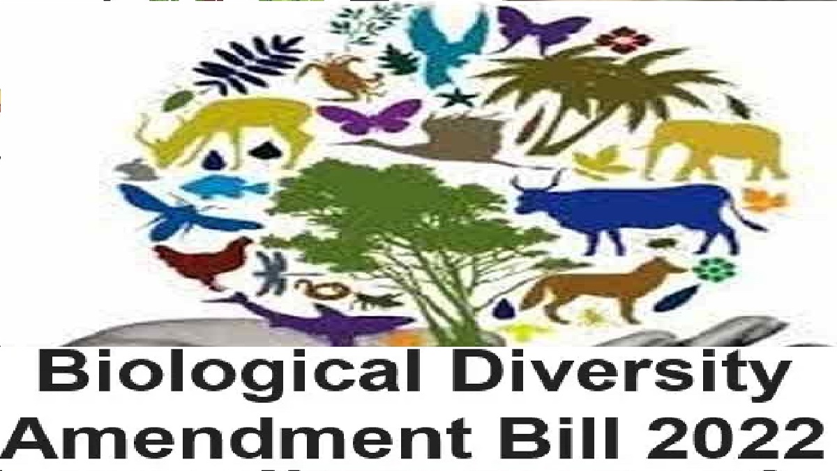 The bill pushes research on medicinal plants The bill pushes research on medicinal plants