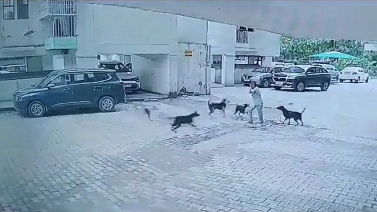 CCTV footage of dog attack in Ghaziabad