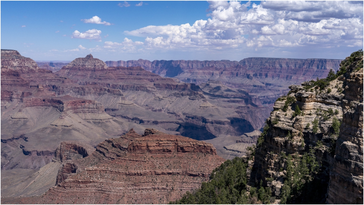 US: 13-year-old boy miraculously survives after falling nearly 100-feet in Grand Canyon