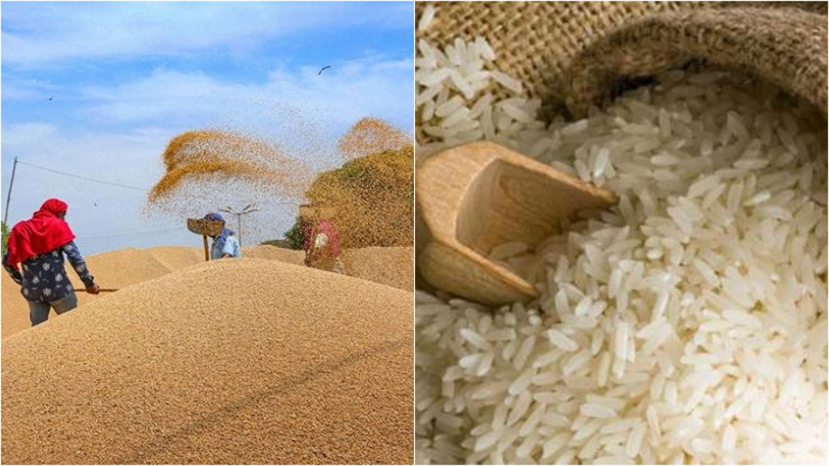 Govt to sell additional 50 lakh tons wheat, 25 lakh tons rice in open market to contain price rise