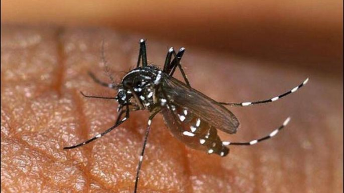 Rise in Japanese Encephalitis cases raise concern in Assam