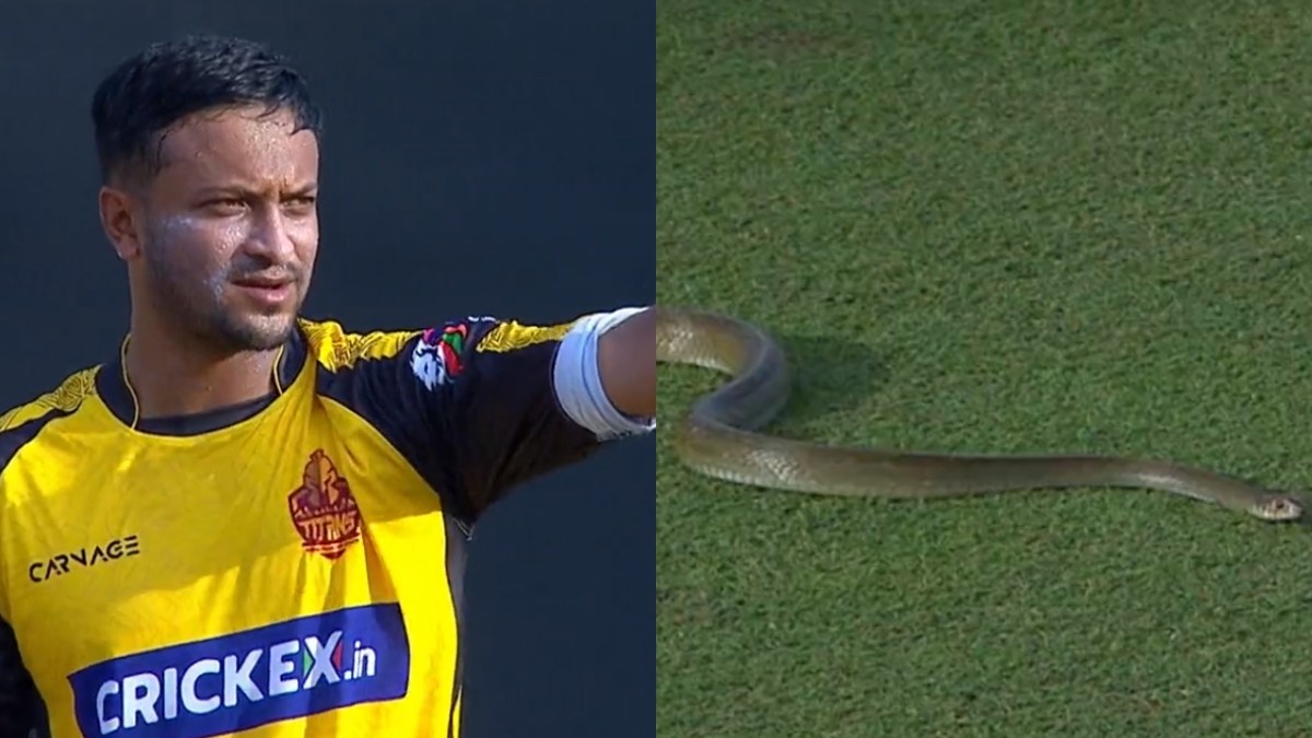 Lanka Premier League 2023: Galle Titans vs Dambulla Aura match stopped in shocking way as snake enters field