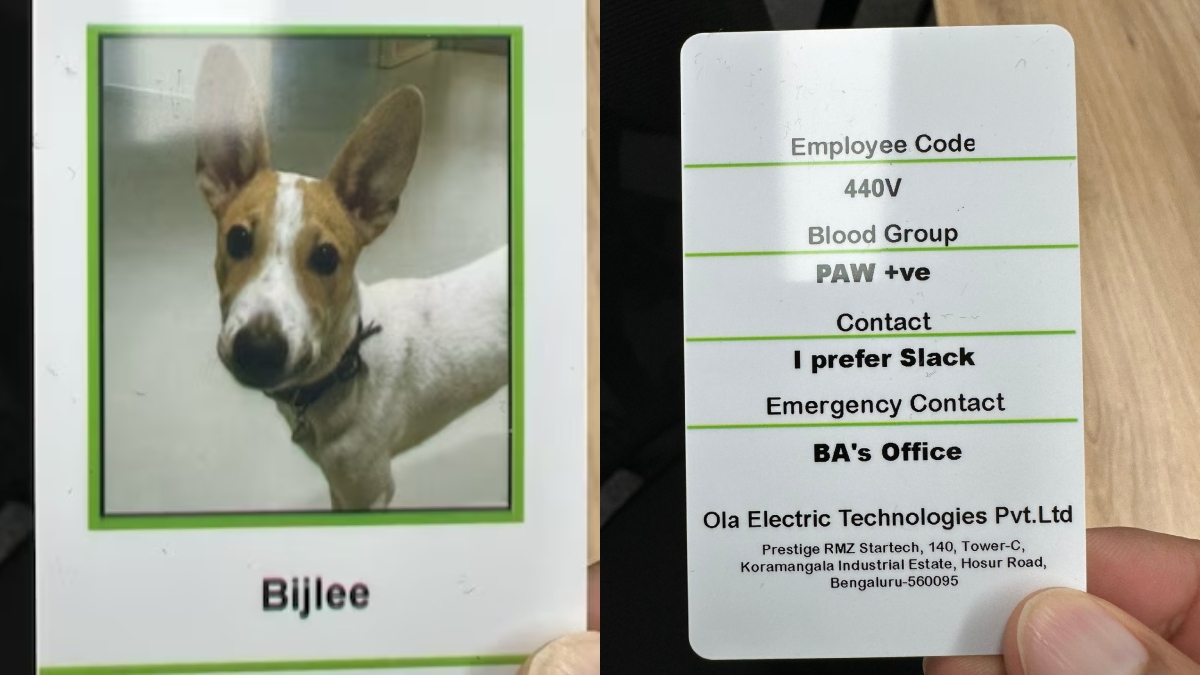 Ola welcomes newest employee ‘Bijlee’ to their team; pictures of the member goes viral