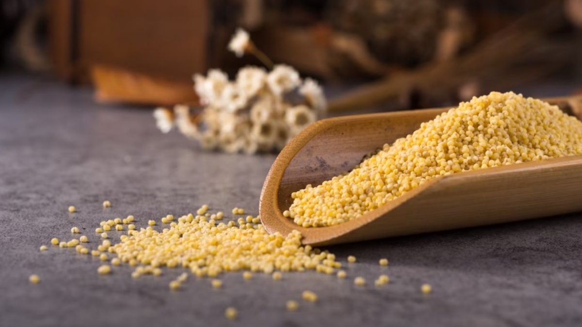 What are types of millets and how to include them in your diet? Know their nutritional value