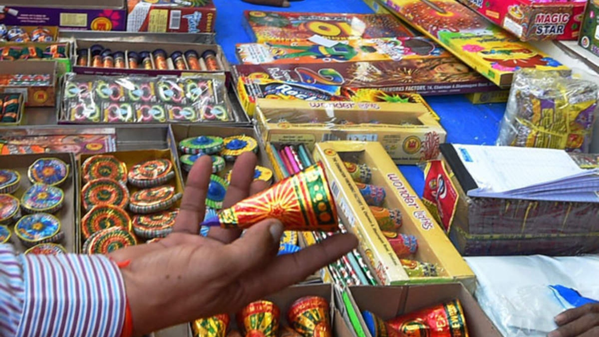 Delhi govt bans production, storage, sale, use of firecrackers to curb pollution in winter