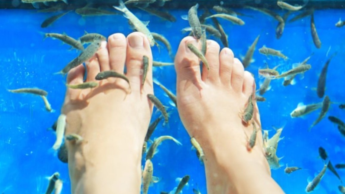 Is getting a Fish Pedicure safe? Know benefits, risks and safety