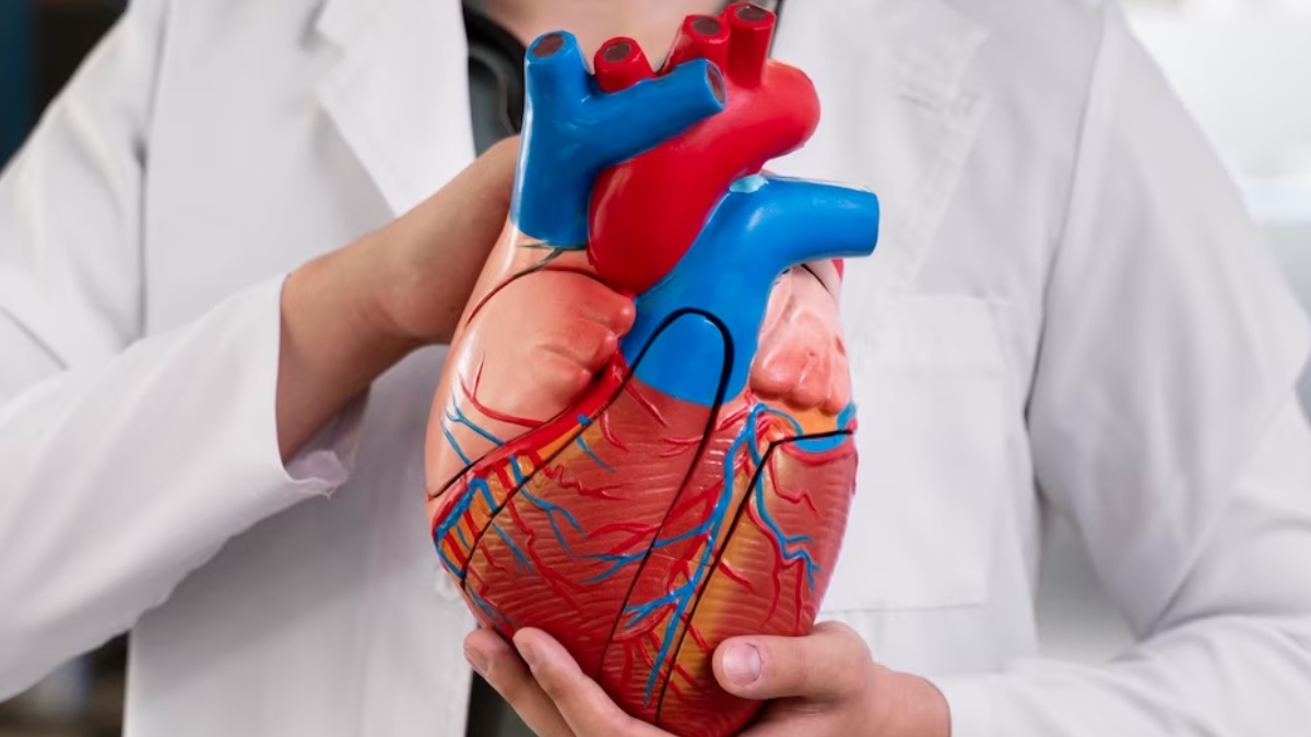 These are the various heart disease risks and symptoms between men and women.