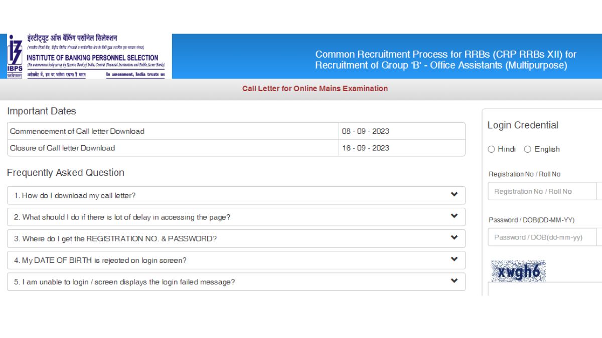 IBPS RRB Clerk Main Admit Card 2023 released at ibps.in, direct link here