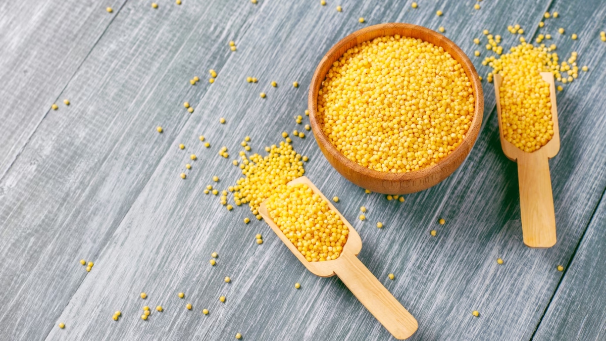 Foxtail to Kodo: 5 best types of millet for weight loss Foxtail to Kodo: 5 best types of millet for weight loss