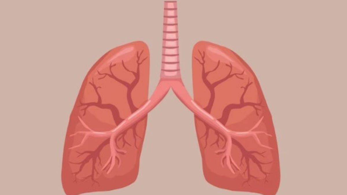 World Lung Day 2023: Ayurvedic diet tips one shoul