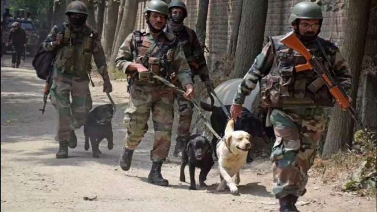 Security Forces To Recruit Indian Dog Breeds For Sniffing Out Narcotics ...