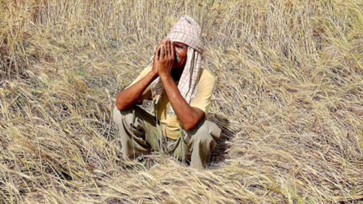 Karnataka: 1,219 farmers dies by suicide in 18 months due to crop loss caused by drought