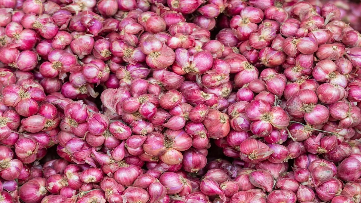 Onion prices continue to rise, inches closer to Rs 100 per kg mark in Delhi