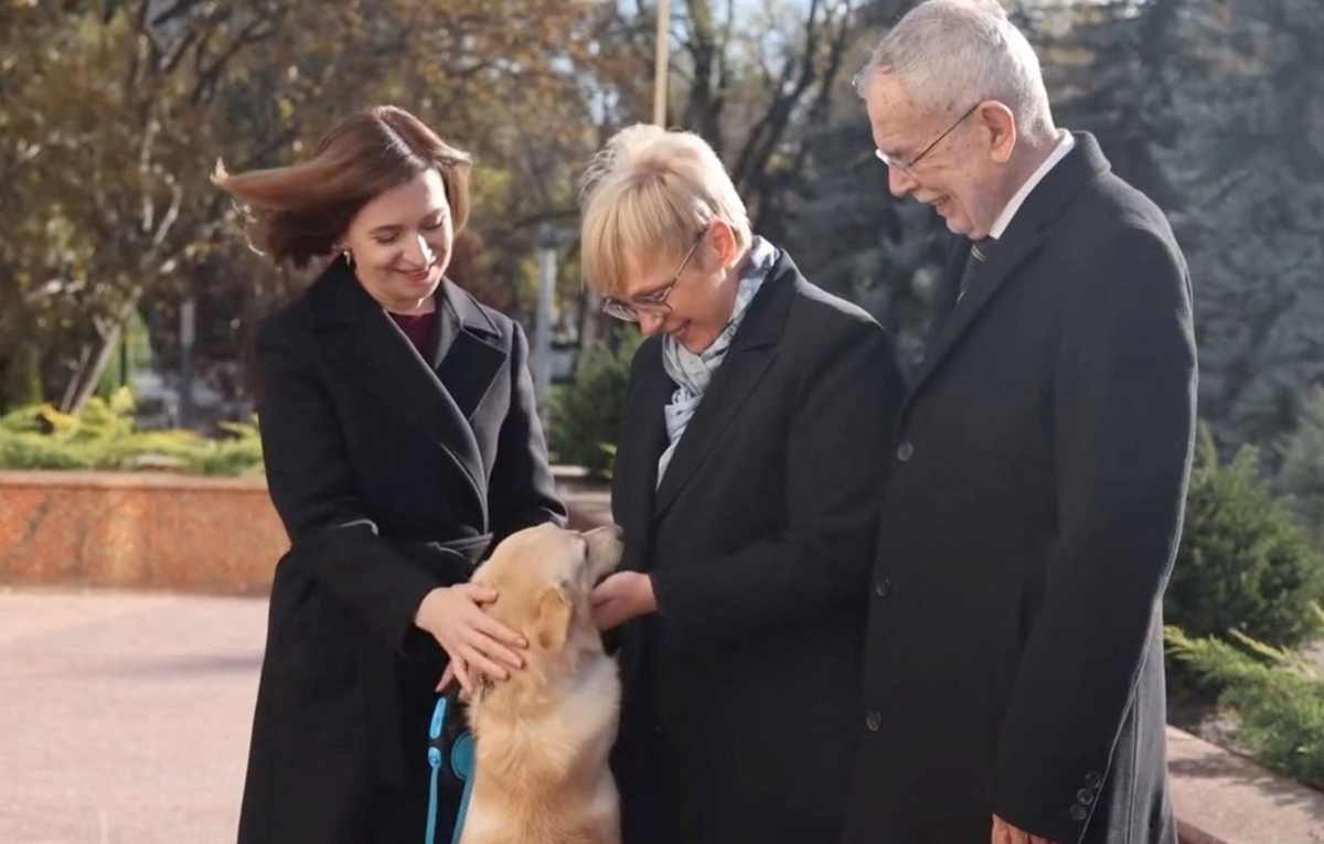 Moldova's 'first dog' bites visiting Austrian President Alexander Van der Bellen | WATCH