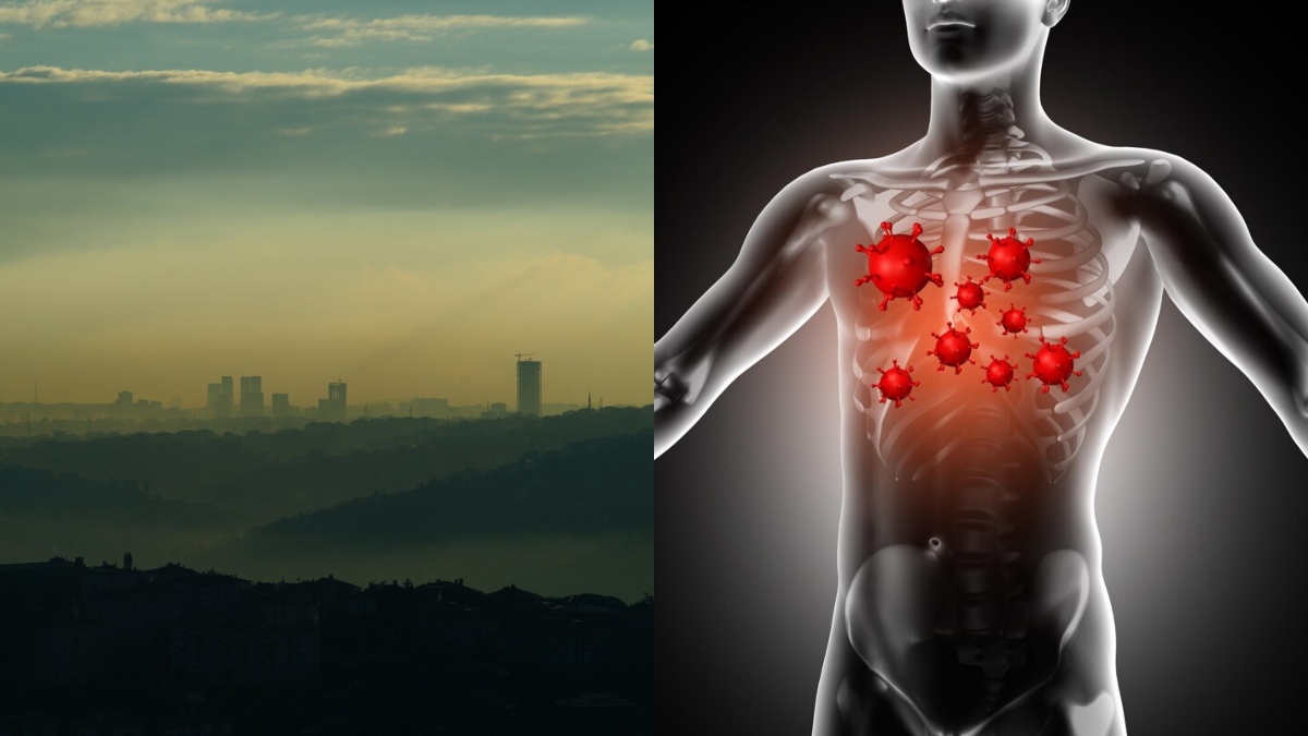 Decoding the dangerous journey of Polluted Air in your body.