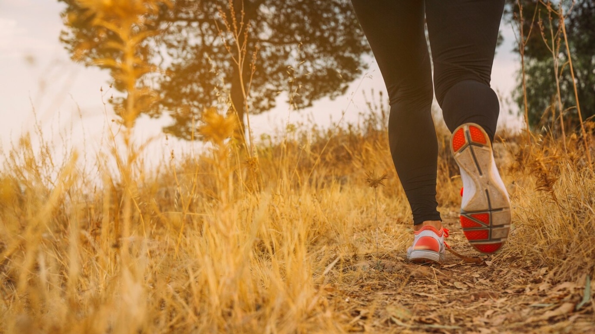 How many steps a day should a diabetic patient walk every day? Expert suggests