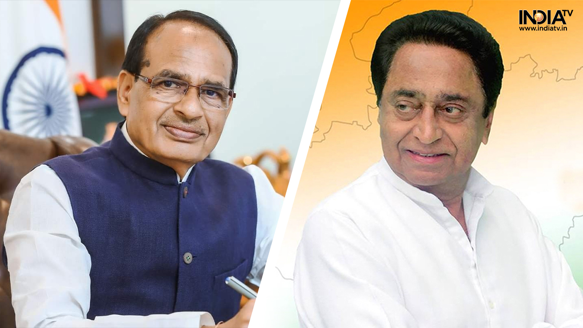 Madhya Pradesh Assembly Election Result 2023: When and where to watch poll results? Check details