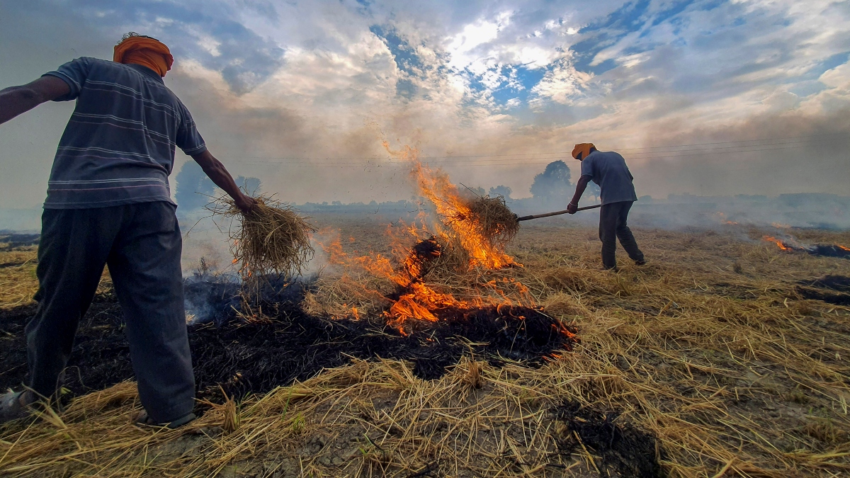 NGT raps Punjab over air pollution, asks to ‘point out one city where situation has improved’