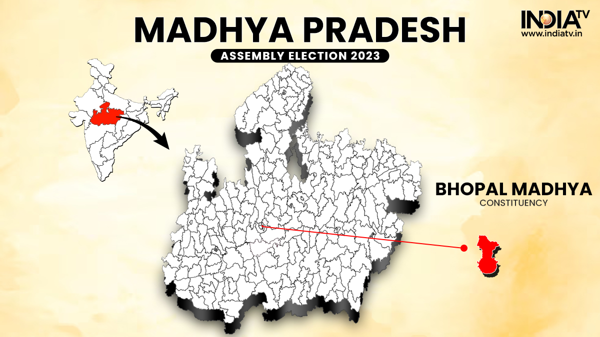 Bhopal Madhya Election Result 2023: Congress MLA Arif Masood defeats BJP's Dhruv Narayan Singh