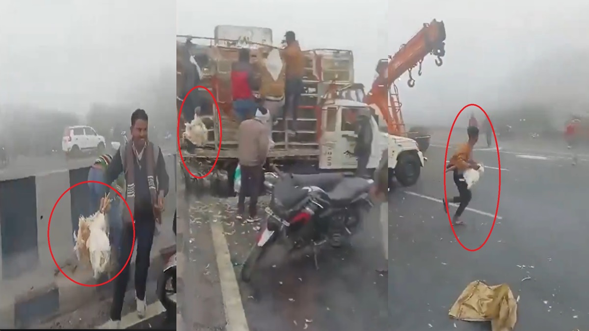 'Murga loot': When people went berserk after road accident on Agra Expressway | WATCH