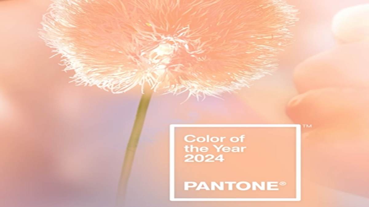 Peach Fuzz is Pantone’s 2024 color of the year All you need to know